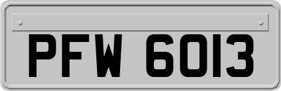 PFW6013