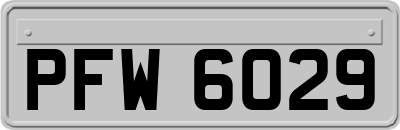 PFW6029