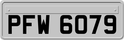 PFW6079