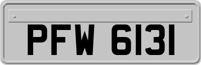 PFW6131