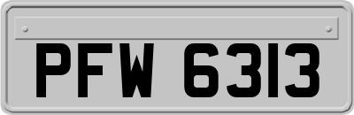 PFW6313