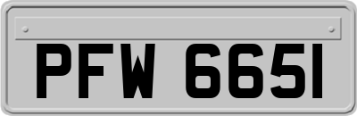 PFW6651