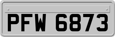 PFW6873