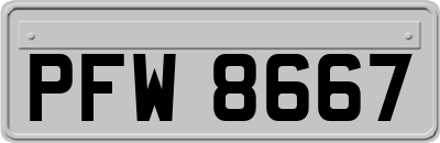 PFW8667