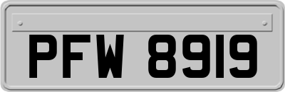 PFW8919