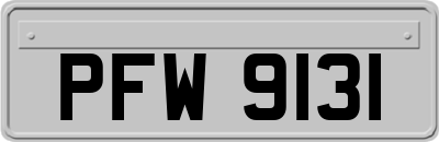 PFW9131
