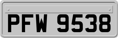 PFW9538