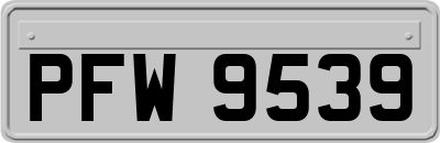 PFW9539