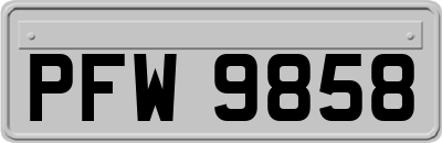 PFW9858