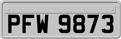 PFW9873