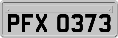 PFX0373