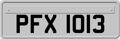 PFX1013