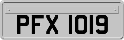 PFX1019