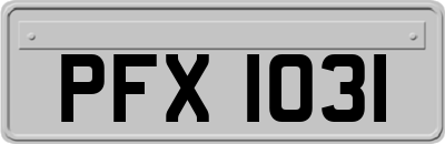 PFX1031