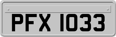 PFX1033