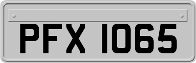 PFX1065