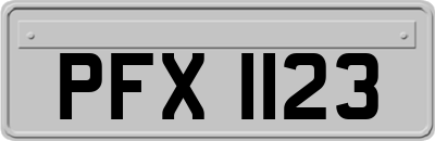 PFX1123