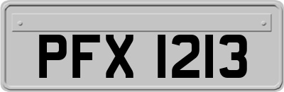 PFX1213