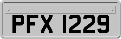 PFX1229