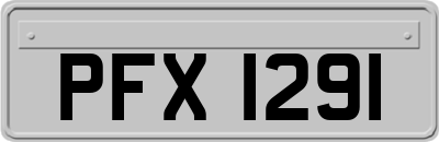 PFX1291