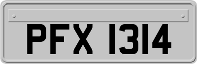 PFX1314