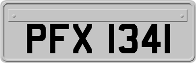 PFX1341
