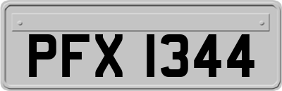PFX1344
