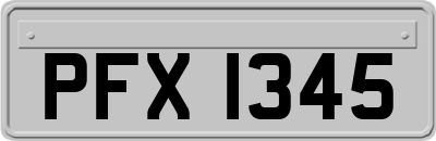 PFX1345