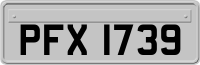 PFX1739