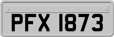 PFX1873