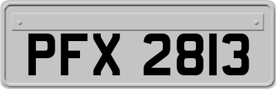 PFX2813