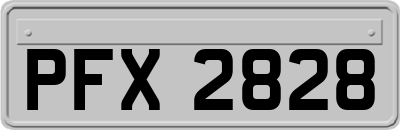 PFX2828