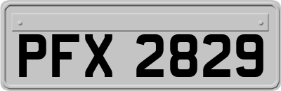 PFX2829