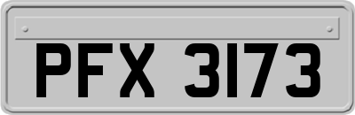PFX3173