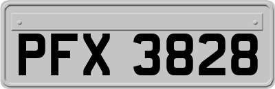 PFX3828