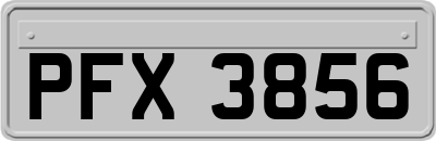 PFX3856