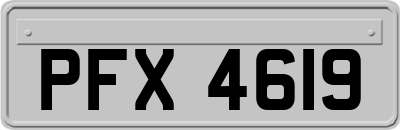 PFX4619