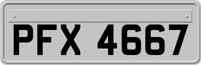 PFX4667