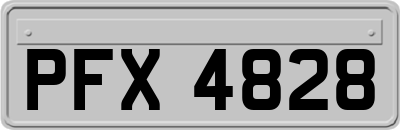PFX4828