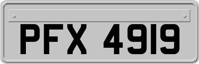 PFX4919