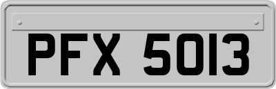 PFX5013