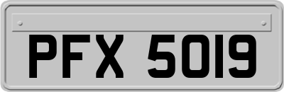 PFX5019