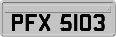 PFX5103