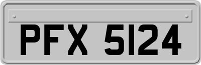 PFX5124