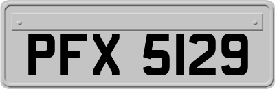 PFX5129