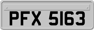 PFX5163