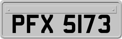 PFX5173