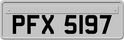 PFX5197