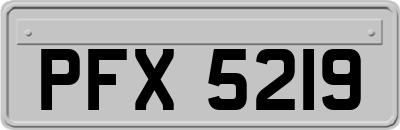 PFX5219