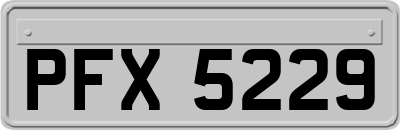 PFX5229